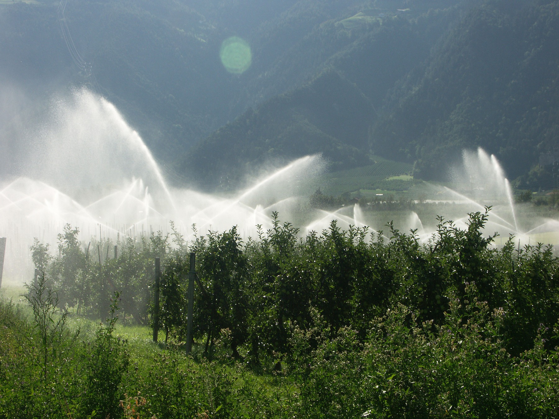 O predicție climatică periculoasă pentru 2050 s-a adeverit cu 28 de ani mai devreme