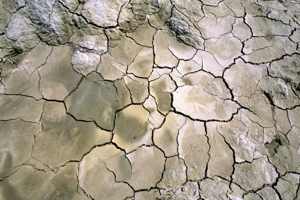 schimbări climatice