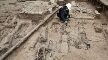 O fosilă umană, posibil cea mai veche din Europa, a fost descoperită în Spania