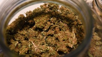 STUDIU. Nivelul elevat de THC din marijuana provoacă dependența unui număr tot mai mare de persoane