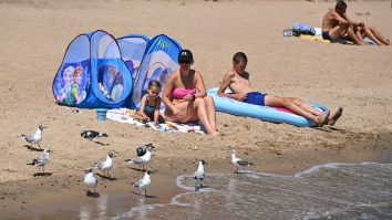 Scoția: Afișele cu excremente de pescăruș de pe plajele scoțiene, contestate de experți