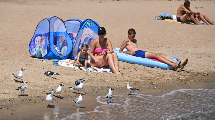 Scoția: Afișele cu excremente de pescăruș de pe plajele scoțiene, contestate de experți