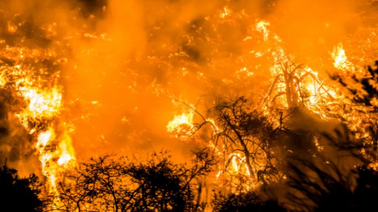 Incendiile de vegetație din vestul SUA își măresc dimensiunile din cauza căldurii și a vântului