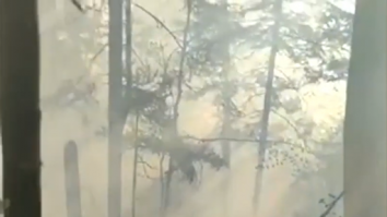 Circa patru hectare de pădure au ars în Munții Rodnei, în urma incendiului izbucnit joi