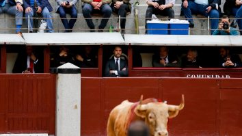 VIDEO. Festivalul de la Pamplona revine în forță după doi ani de pandemie. Mii de vizitatori vor lua parte la cursele cu tauri