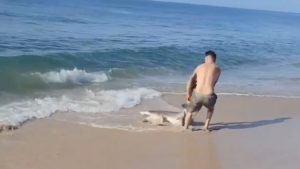 barbat se lupta cu un rechin