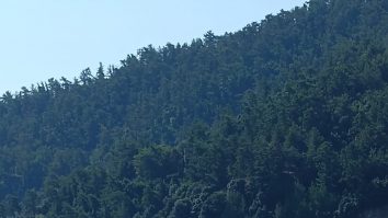 Incendii uriașe pe insula Thassos. Turiştii sunt rugaţi să-şi limiteze deplasările