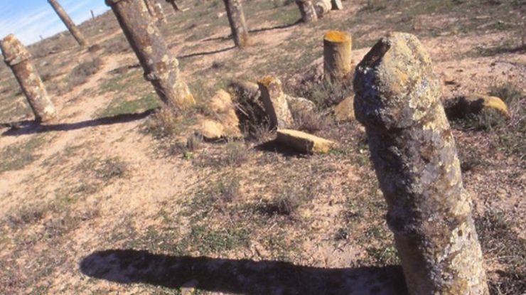 cimitir