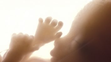 Premieră mondială: Cercetătorii au crescut un embrion artificial în laborator