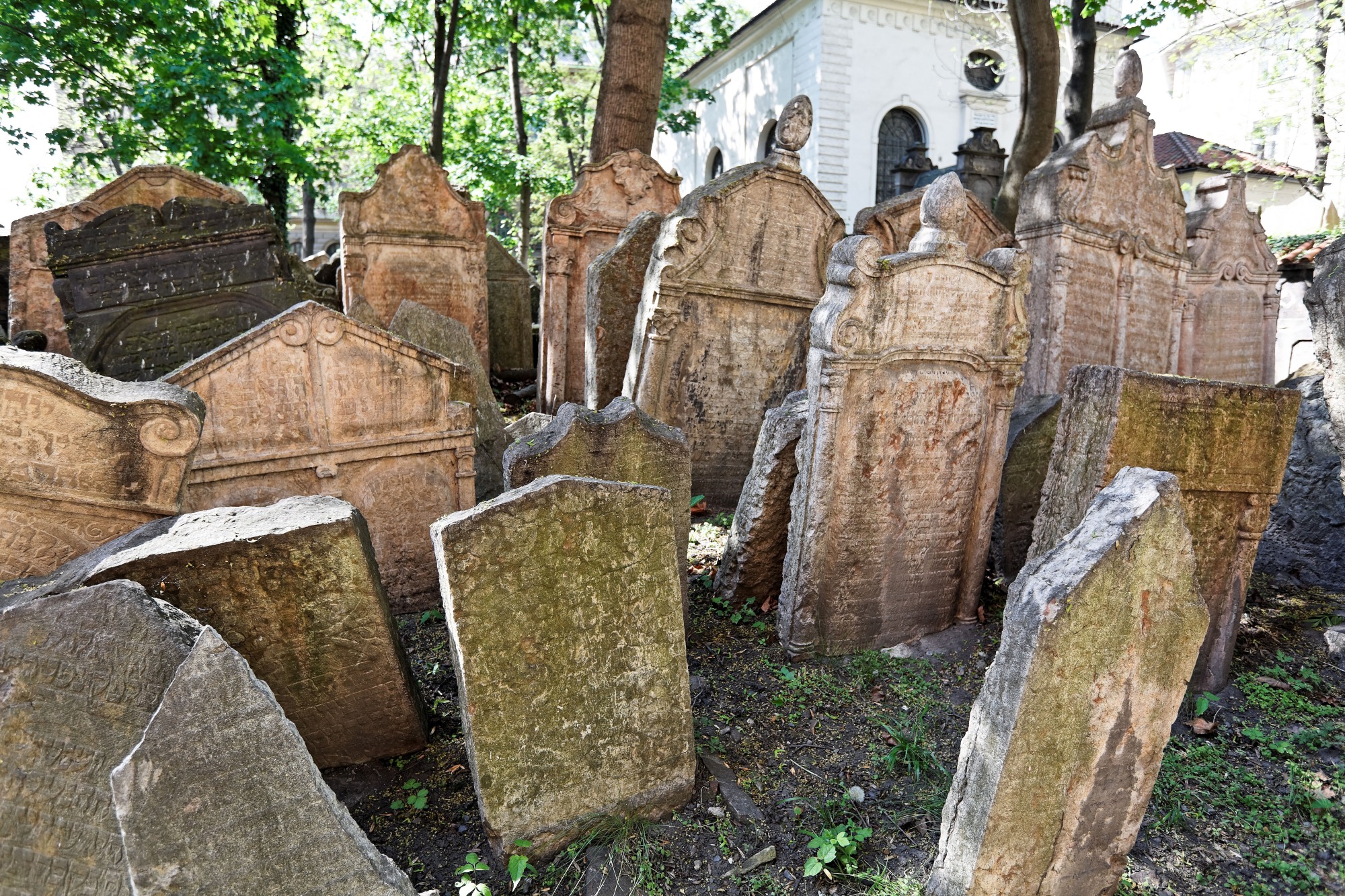 Misterul medicului care a murit la 148 de ani după ce a dezvoltat un „elixir pentru viață lungă”