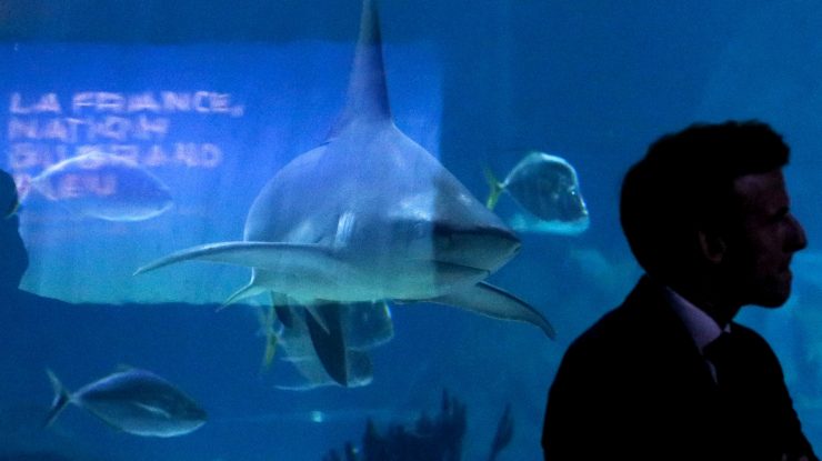 Discuțiile privind un tratat ONU pentru protejarea vieții marine s-au încheiat fără un acord