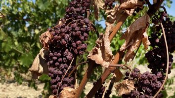 Seceta din Portugalia face ca prețul apei să crească, iar curățenia stradală este interzisă