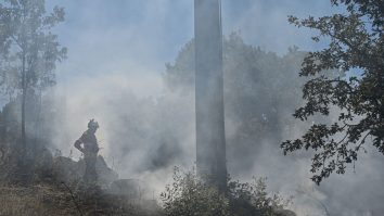 STUDIU. Incendiile din „vara neagră” din Australia au afectat stratul de ozon