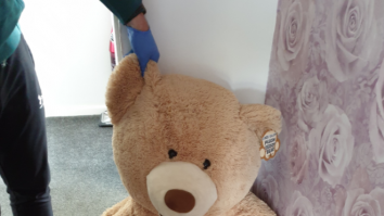 Tânăr fugar, arestat după ce a încercat să se ascundă de poliție într-un ursuleț de pluș uriaș