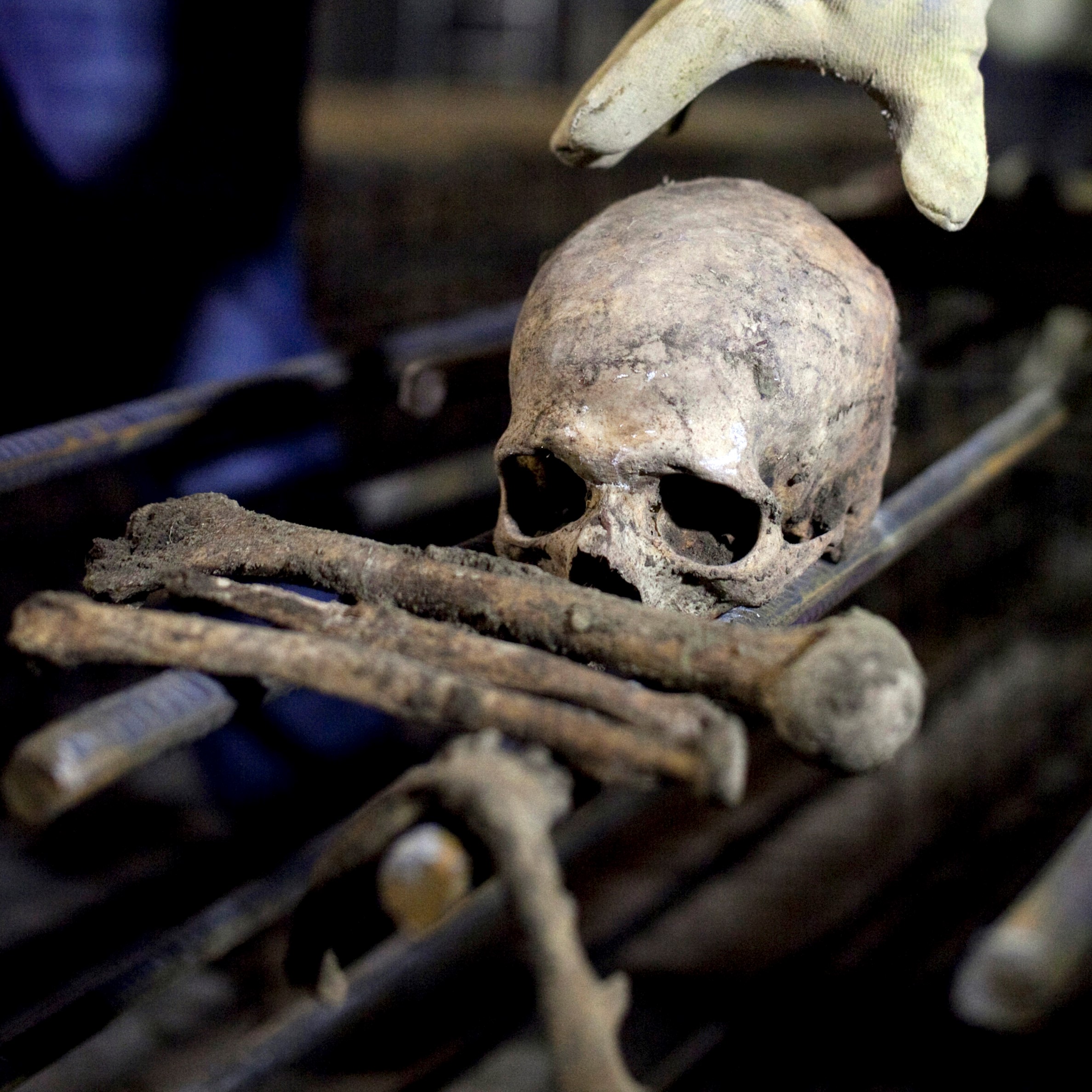 VIDEO ȘOCANT. Bărbat arestat pentru că a cumpărat online părți de corp uman