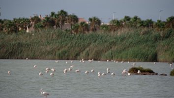 Spania face istorie prin acordarea statutului de persoană fizică unei lagune de apă sărată, datorită a 600.000 de cetățeni