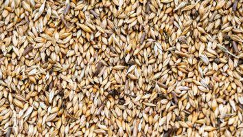 Războiul din Ucraina provoacă cea mai gravă criză alimentară mondială din 2008