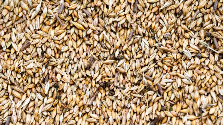 Războiul din Ucraina provoacă cea mai gravă criză alimentară mondială din 2008
