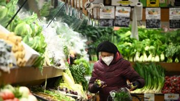 Cultivatorii de legume din Europa avertizează asupra penuriei, pe fondul crizei energetice