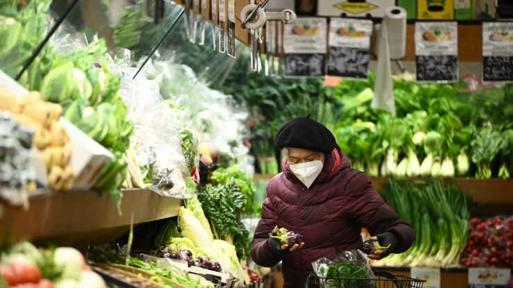 Cultivatorii de legume din Europa avertizează asupra penuriei, pe fondul crizei energetice