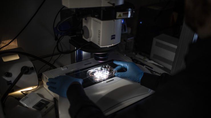 Studiu. Nanorboții prind contur. Tocmai au vindecat pneumonia la șoareci