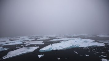 Cea mai nordică insulă din lume iese la iveală sub forma unui aisberg acoperit cu pietriș