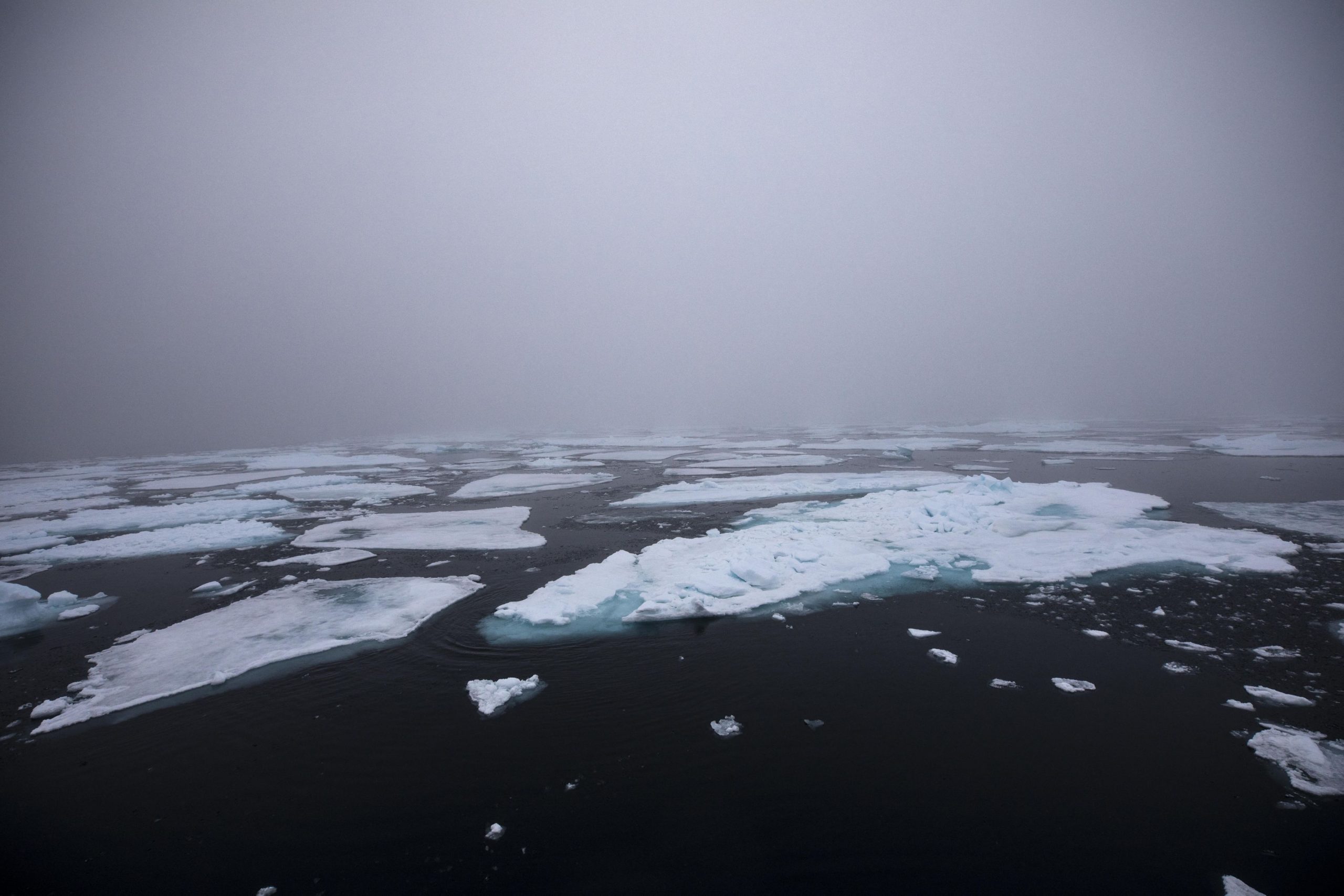 Cea mai nordică insulă din lume iese la iveală sub forma unui aisberg acoperit cu pietriș