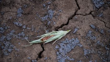 Analiză. Europa a înregistrat în 2022 cea mai călduroasă vară din istorie