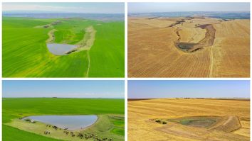 Studiu. Schimbările climatice dau o altă culoare lacurilor. Încălzirea temperaturilor globale ar putea face ca mai multe lacuri să devină verzi-maronii