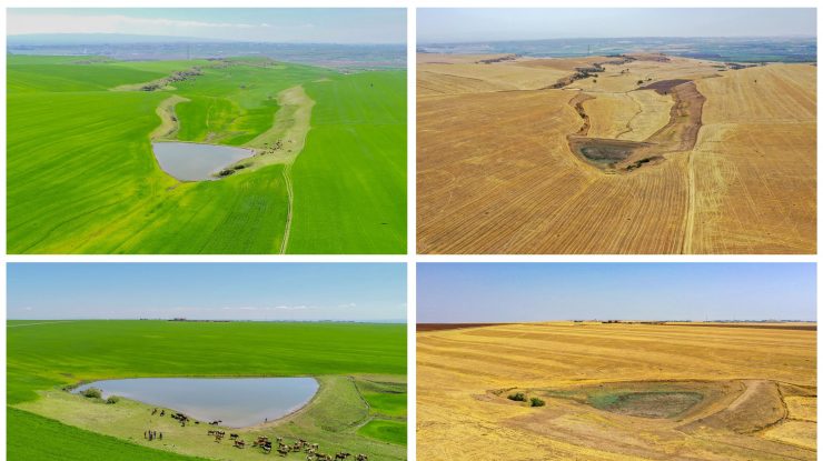 Studiu. Schimbările climatice dau o altă culoare lacurilor. Încălzirea temperaturilor globale ar putea face ca mai multe lacuri să devină verzi-maronii