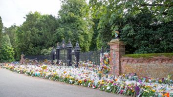 Florăriile turcești se întrec pentru a satisface cererea din Marea Britanie, în creştere după moartea reginei