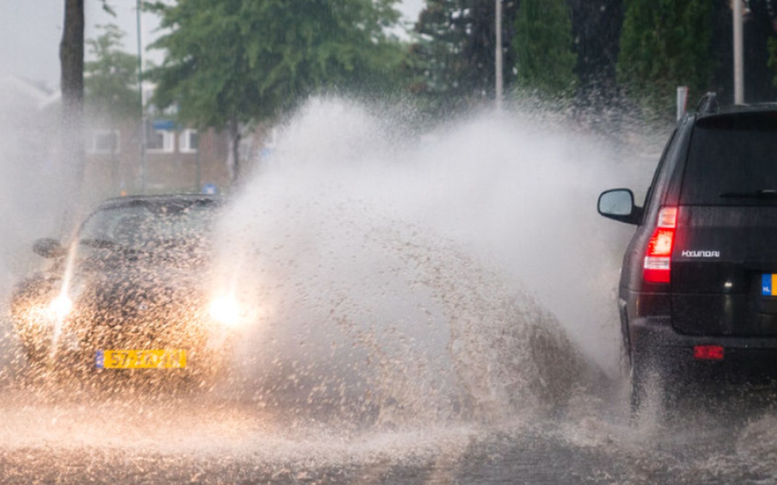 Efectele schimbărilor climatice. Noua Zeelandă a avut cea mai caldă și mai ploioasă iarnă înregistrată vreodată