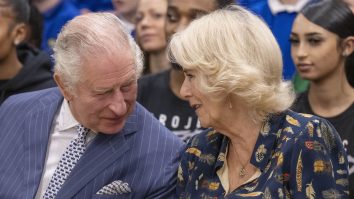 Regele Charles al III-lea vrea să-i împiedice pe prinții Harry și Andrew să preia interimatul funcției sale