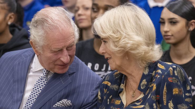 Regele Charles al III-lea vrea să-i împiedice pe prinții Harry și Andrew să preia interimatul funcției sale