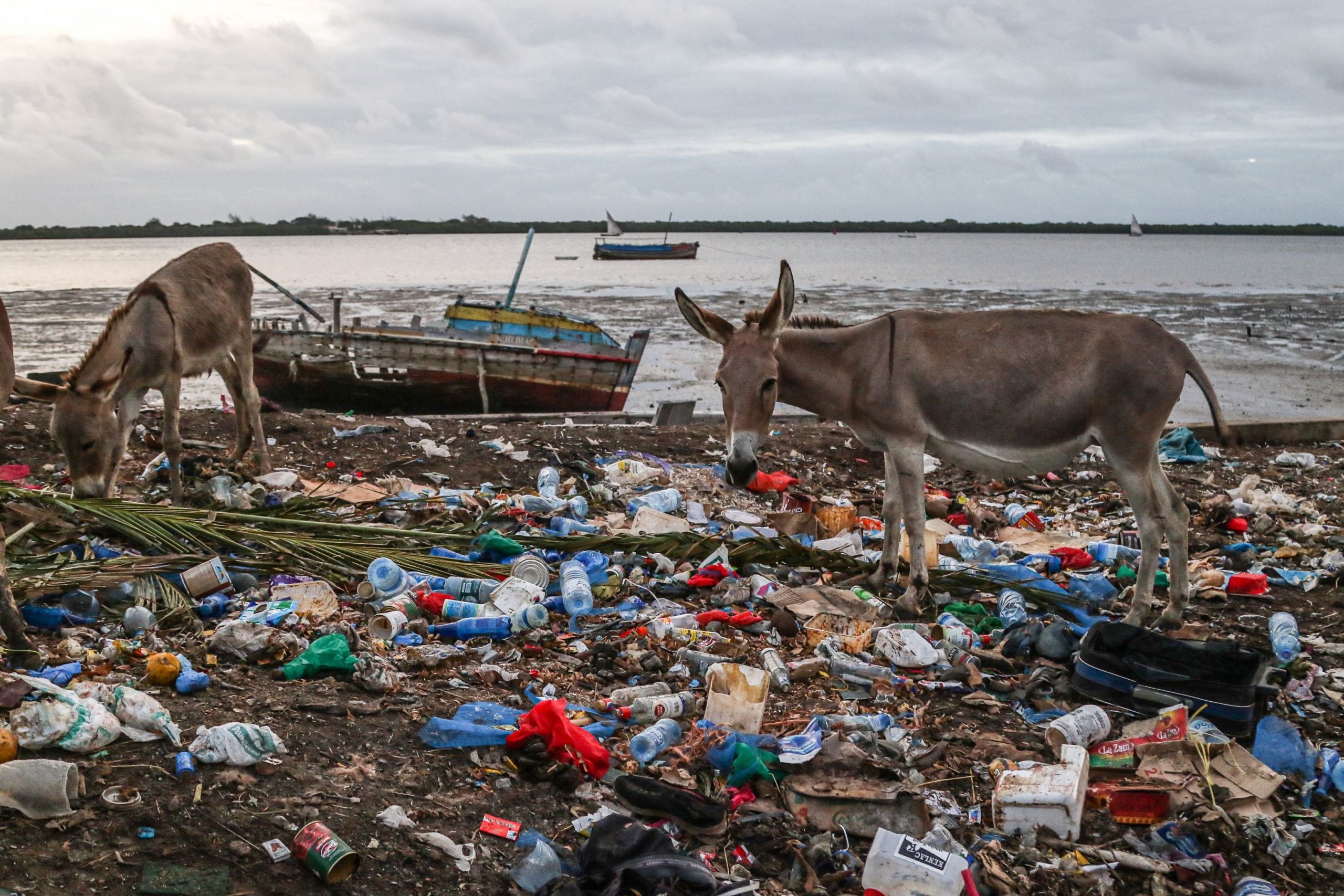 RAPORT. 127 kg de deșeuri alimentare pe cap de locuitor în Uniunea Europeană, în 2020