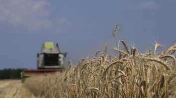 Cifra de afaceri a companiilor agricole ajunge la peste 8 miliarde de lei. Marian Popa, fermier: „Avem o climă la extreme și nu cred că va fi o creștere spectaculoasă”