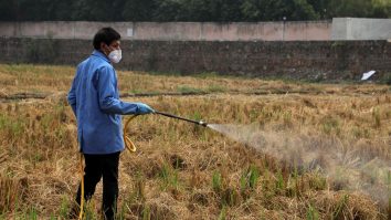 „Lobby-urile industriei chimice au câștigat”: Comisia Europeană îngroapă planurile de interzicere a substanțelor toxice pentru sănătate și mediu