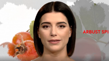 Un vârf de… Măceșul