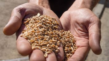 Cerealele ucrainene: Nicio mișcare duminică în Marea Neagră, confirmă JCC