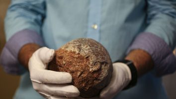 VIDEO. Relicve de ouă de dinozaur vechi de 80 de milioane de ani, descoperite în estul Chinei
