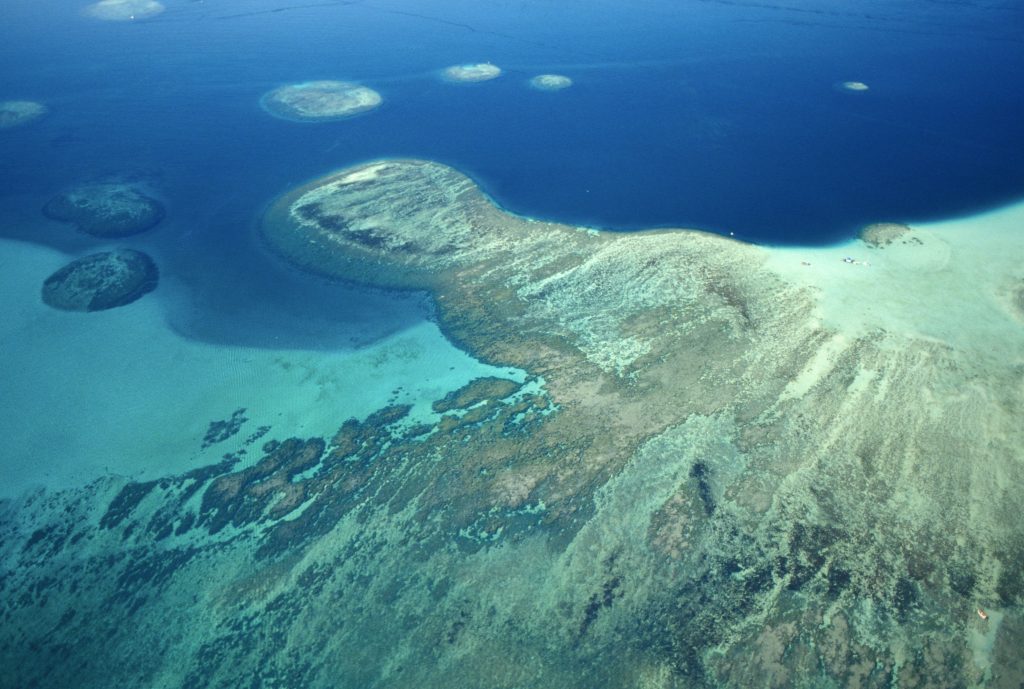 Avertismentul experțiilor: Oceanul Pacific se închide pentru a forma un nou supercontinent