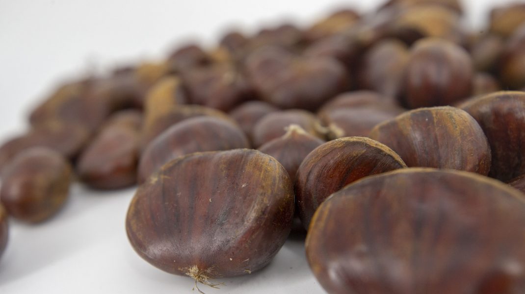 castane