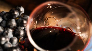 VIDEO. „Hai cu Pluta!”  Hai la o experiență cu și despre vin