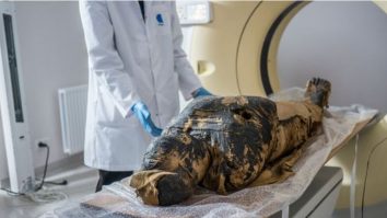 chipul unei mumii egiptene însărcinate