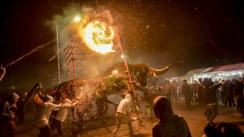 Militanții pentru drepturile animalelor cer interzicerea unui festival cu tauri după moartea unui animal