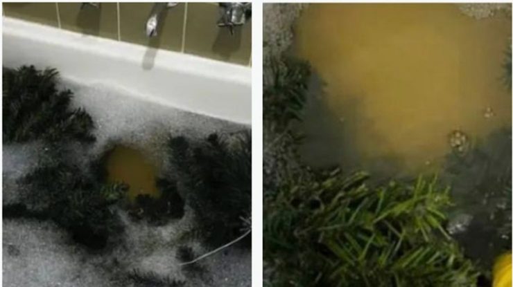 De ce spală o femeie bradul de Crăciun în fiecare an înainte de a-l împodobi. Fanii s-au crucit când au văzut imaginile pe Facebook