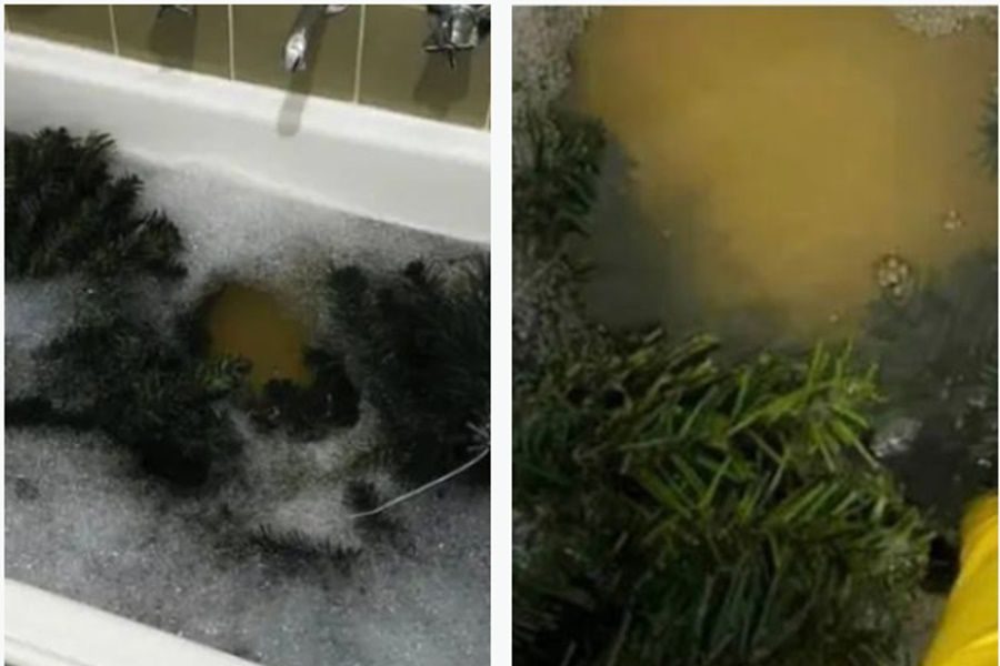De ce spală o femeie bradul de Crăciun în fiecare an înainte de a-l împodobi. Fanii s-au crucit când au văzut imaginile pe Facebook