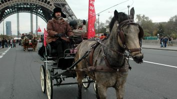 „La pas”. Străzile Franței răsună din nou de sunetul copitelor cailor de muncă
