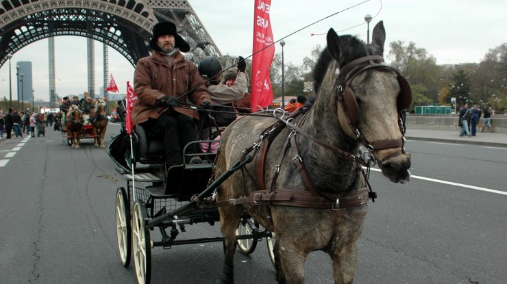 „La pas”. Străzile Franței răsună din nou de sunetul copitelor cailor de muncă