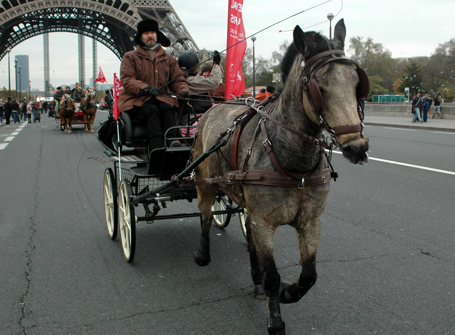 „La pas”. Străzile Franței răsună din nou de sunetul copitelor cailor de muncă